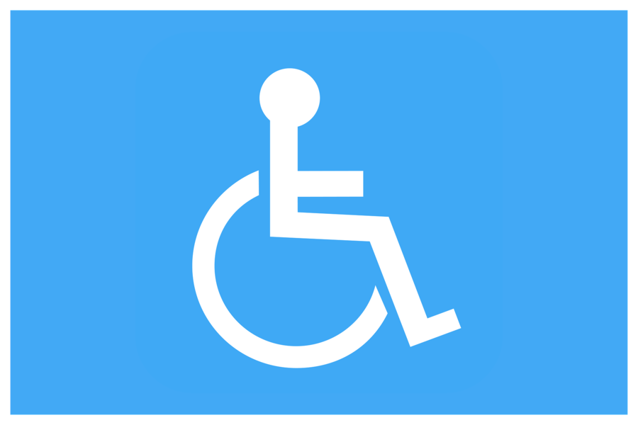 grado-de-discapacidad-1